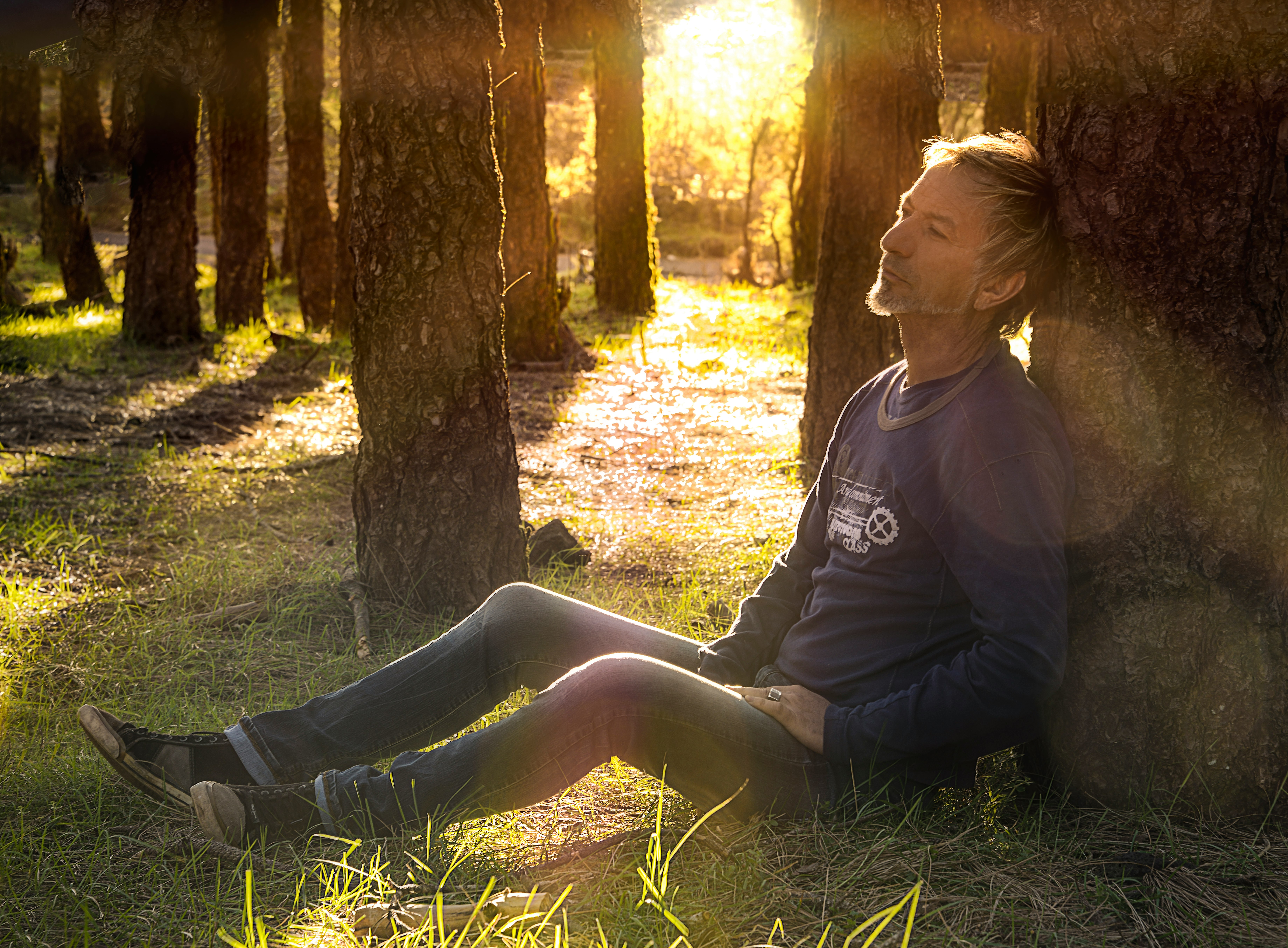 man seated on grass leaning on tree